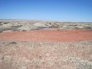 PICTURES/Bisti Badlands in De-Na-Zin Wilderness/t_Second Stop - Giant Pottery Sprinkle2.jpg